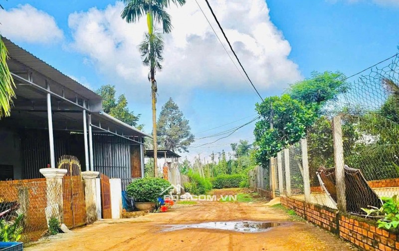 LÔ ĐẤT SỔ ĐỎ THỔ CƯ – PHƯỜNG TÂN LỢI – BUÔN MA THUỘT, CÁCH TRƯỜNG ĐẠI HỌC Y DƯỢC BUÔN MA THUỘT 4 km = 780 triệu